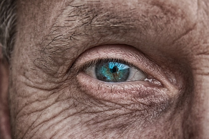 Офтальмолог объяснил, о какой неизлечимой болезни говорят «мушки в глазах»