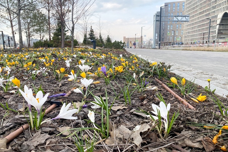 Не ждите тепла: синоптик дал прогноз погоды на майские праздники в Москве 