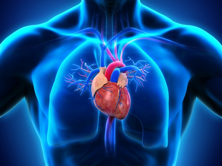 Смерть подкрадется незаметно: кардиолог Кореневич рассказала об инфаркте при нормальном давлении
