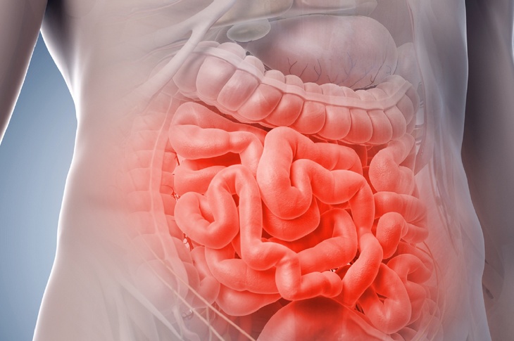 Резко растут риски рака: врач Мясников раскрыл неожиданную правду о бактериях кишечника