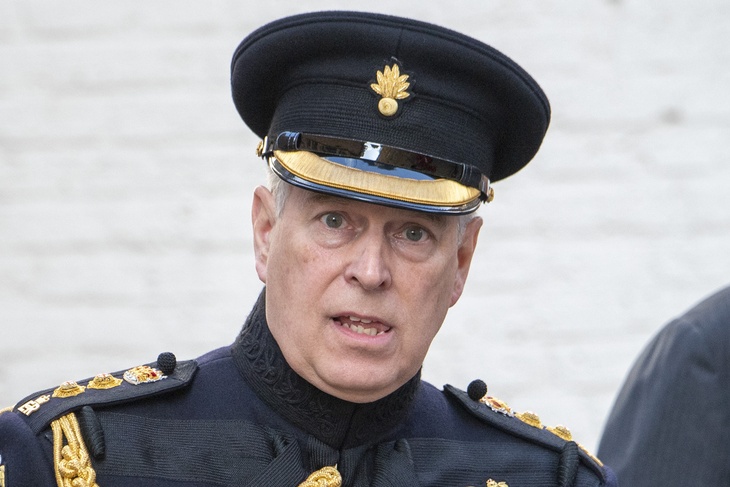 Prince Andrew could lose his Duke of York title under proposed law