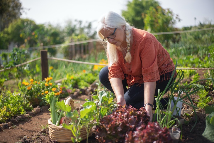 Психолог объяснила россиянам пользу садово-огородных работ