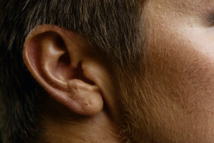 Ученые рассказали, можно ли научиться шевелить ушами