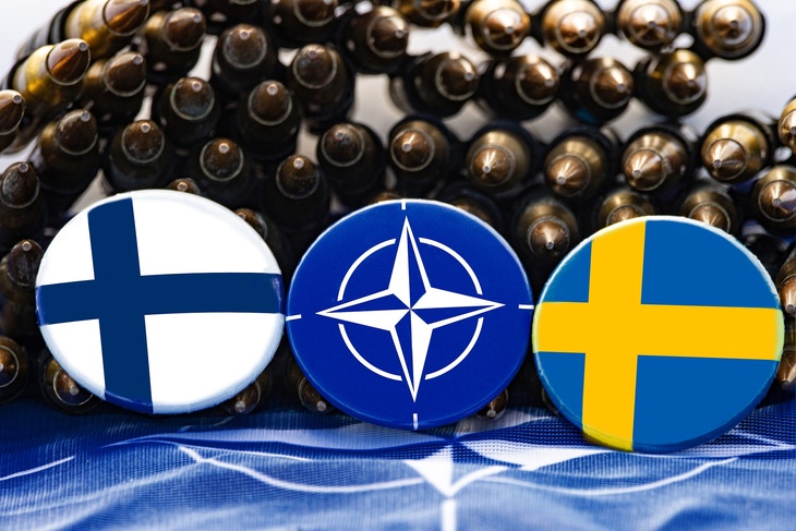 Чем полезны для НАТО Швеция и Финляндия